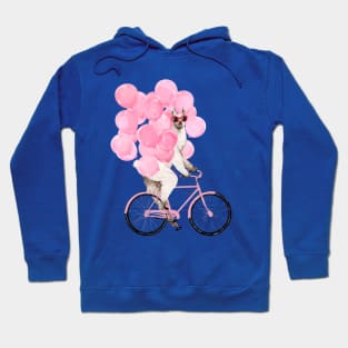 Riding Llama with Pink Balloons #1 Hoodie